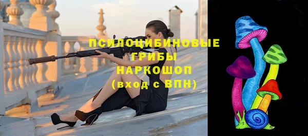прущие крисы Няндома