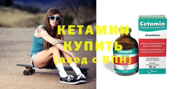 индика Нягань