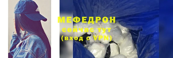 индика Нягань