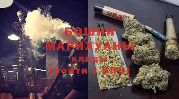 индика Нягань