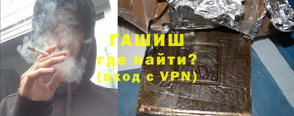 индика Нягань