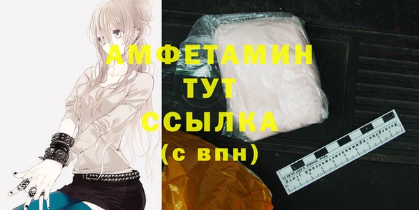 индика Нягань