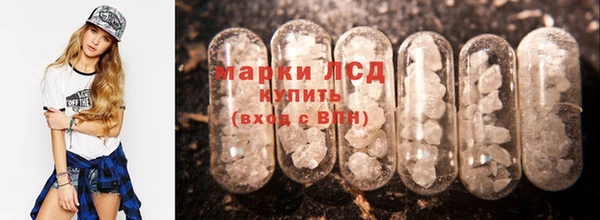 индика Нягань