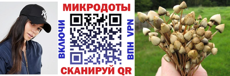 OMG   сколько стоит  Киселёвск  Псилоцибиновые грибы мухоморы 