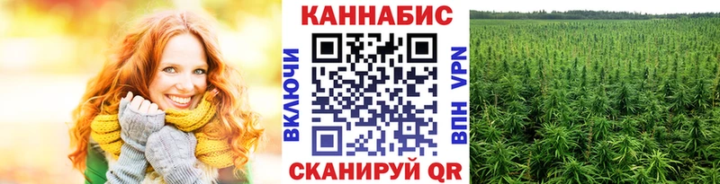 Бошки марихуана конопля  Киселёвск 